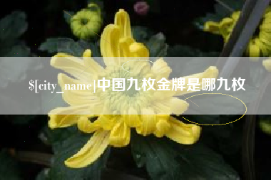 沁阳中国九枚金牌是哪九枚