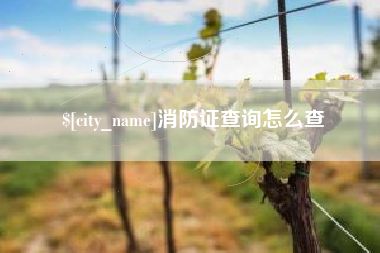沁阳消防证查询怎么查