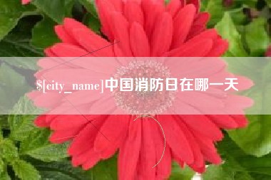 沁阳中国消防日在哪一天