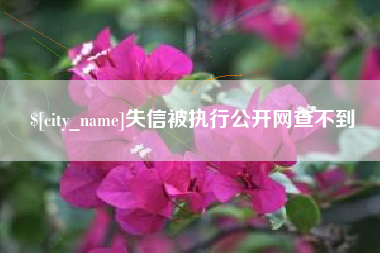 沁阳失信被执行公开网查不到
