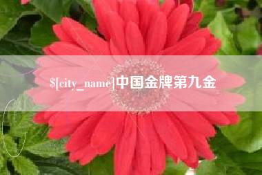 沁阳中国金牌第九金