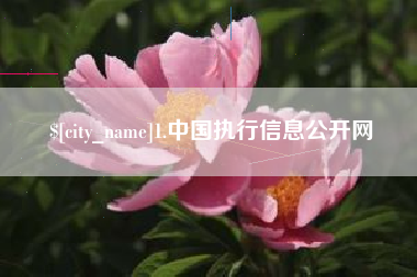 沁阳1.中国执行信息公开网