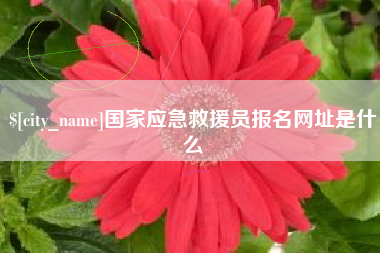 沁阳国家应急救援员报名网址是什么