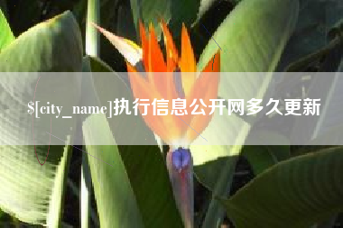 沁阳执行信息公开网多久更新