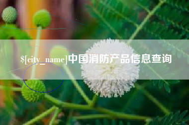 沁阳中国消防产品信息查询