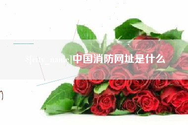 沁阳中国消防网址是什么