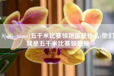 沁阳五千米比赛领跑员是什么-他们就是五千米比赛领跑员