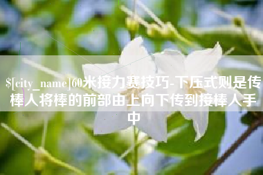 沁阳60米接力赛技巧-下压式则是传棒人将棒的前部由上向下传到接棒人手中