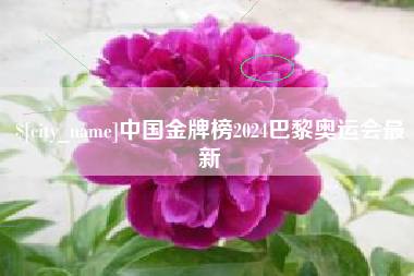 沁阳中国金牌榜2024巴黎奥运会最新