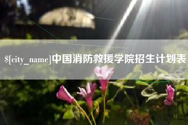 沁阳中国消防救援学院招生计划表