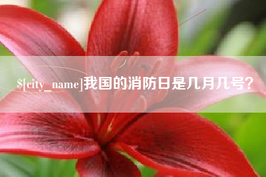 沁阳我国的消防日是几月几号？