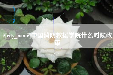 沁阳中国消防救援学院什么时候政审
