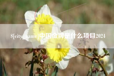 沁阳中国金牌是什么项目2024