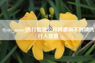 沁阳执行信息公开网查询不到被执行人信息