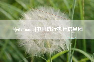 沁阳中国执行执行信息网