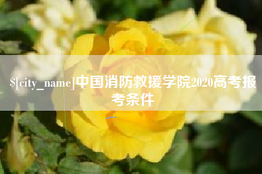 沁阳中国消防救援学院2020高考报考条件