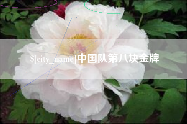 沁阳中国队第八块金牌