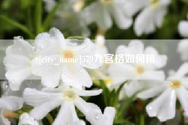 沁阳579九宫格如何排