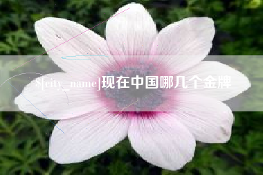 沁阳现在中国哪几个金牌
