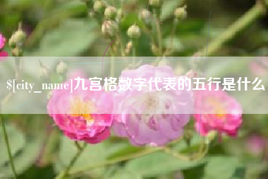 沁阳九宫格数字代表的五行是什么