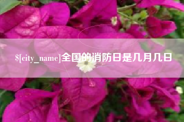 沁阳全国的消防日是几月几日