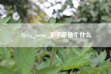 沁阳王子豪是个什么