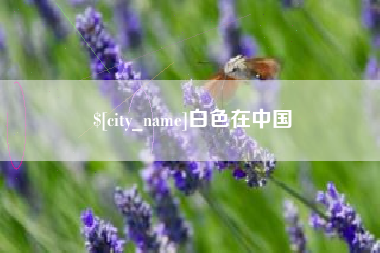 沁阳白色在中国