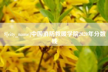 沁阳中国消防救援学院2020年分数线