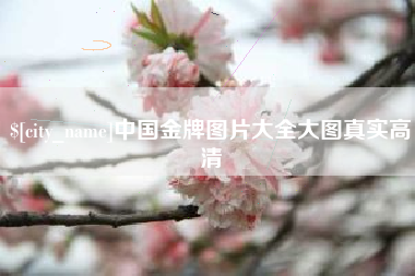 沁阳中国金牌图片大全大图真实高清