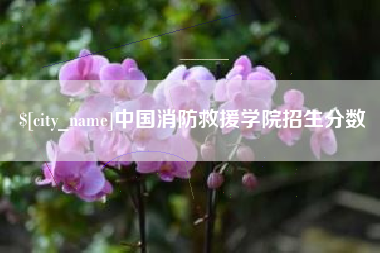 沁阳中国消防救援学院招生分数