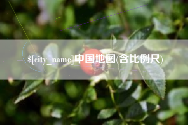 沁阳中国地图(含比例尺)