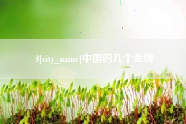 沁阳中国的几个金牌