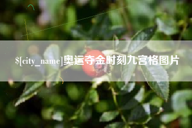 沁阳奥运夺金时刻九宫格图片