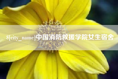 沁阳中国消防救援学院女生宿舍