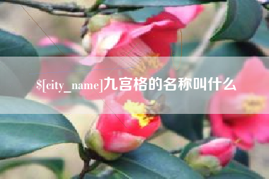 沁阳九宫格的名称叫什么
