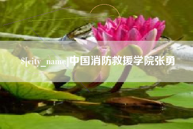 沁阳中国消防救援学院张勇