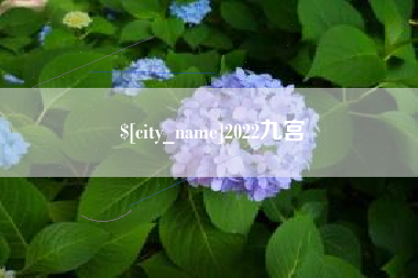 沁阳2022九宫