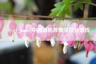沁阳中国消防救援学院分数线