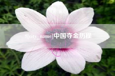 沁阳中国夺金历程