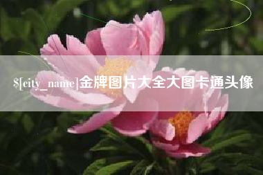 沁阳金牌图片大全大图卡通头像