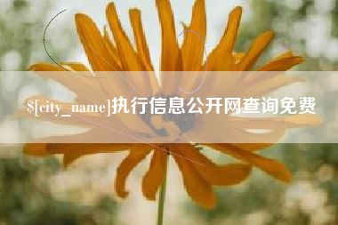 沁阳执行信息公开网查询免费