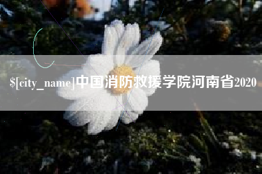 沁阳中国消防救援学院河南省2020
